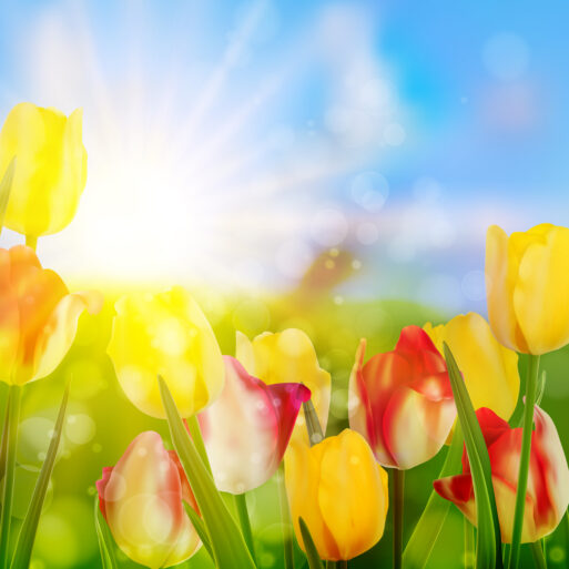 Tulips growing in garden on green bokeh background. And also includes EPS 10 vector
гороскоп на неделю