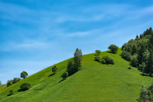 Green hill on blue sky background. Ecotourism recreation, countryside.
красная горка