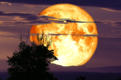 full crow moon back on silhouette cloud and mountain on night sky, Elements of this image furnished by NASA
Полнолуние