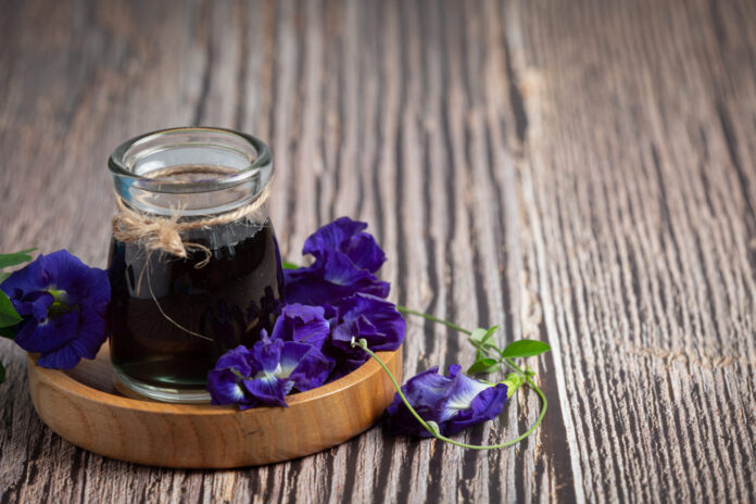 a glass of Butterfly Pea Flower tea put on wooden tray цикорий скрытый сахар