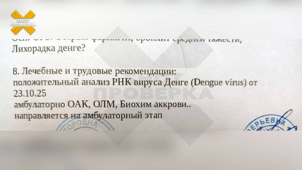 лихорадка денге